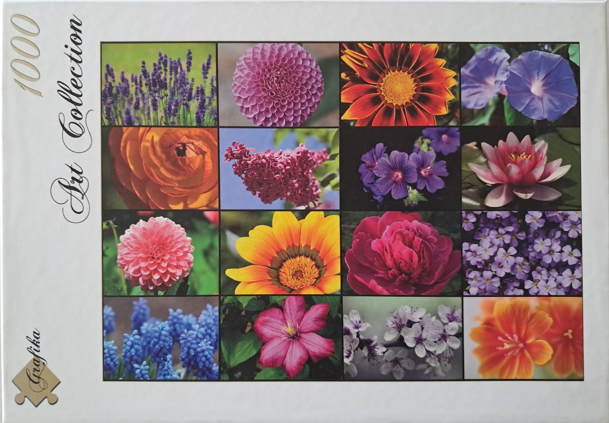 A grid of sixteen high-resolution close-up photographs of various colorful flowers.
