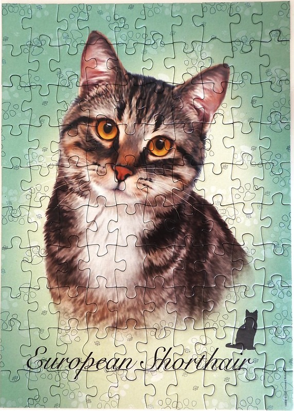 A close-up illustration of a tabby cat with large amber eyes against a soft green background with paw print patterns.