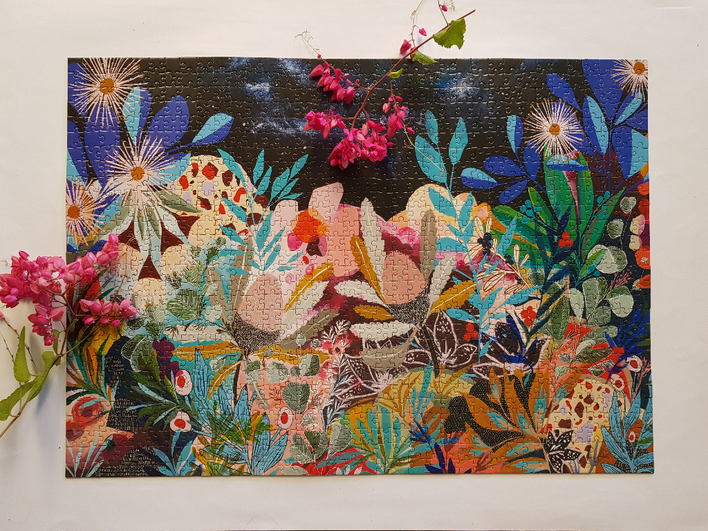 Stylized illustration of Australian native wildflowers in a night garden setting