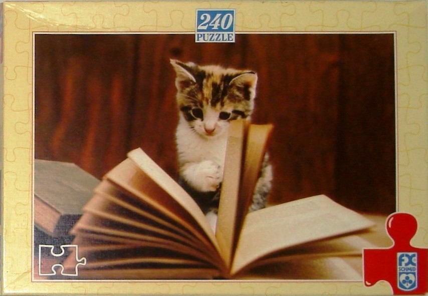 A small calico kitten peering curiously over the pages of an open book against a dark wooden background.