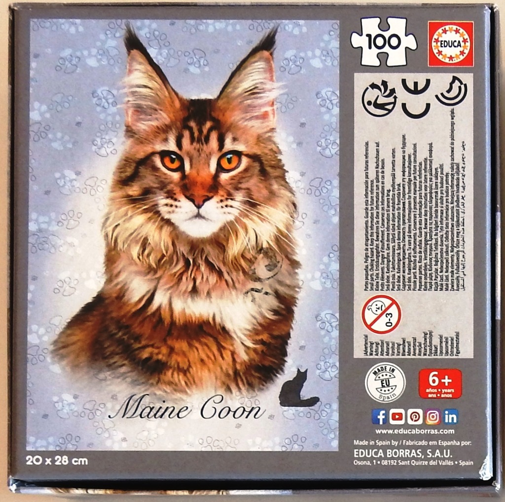 Maine Coon