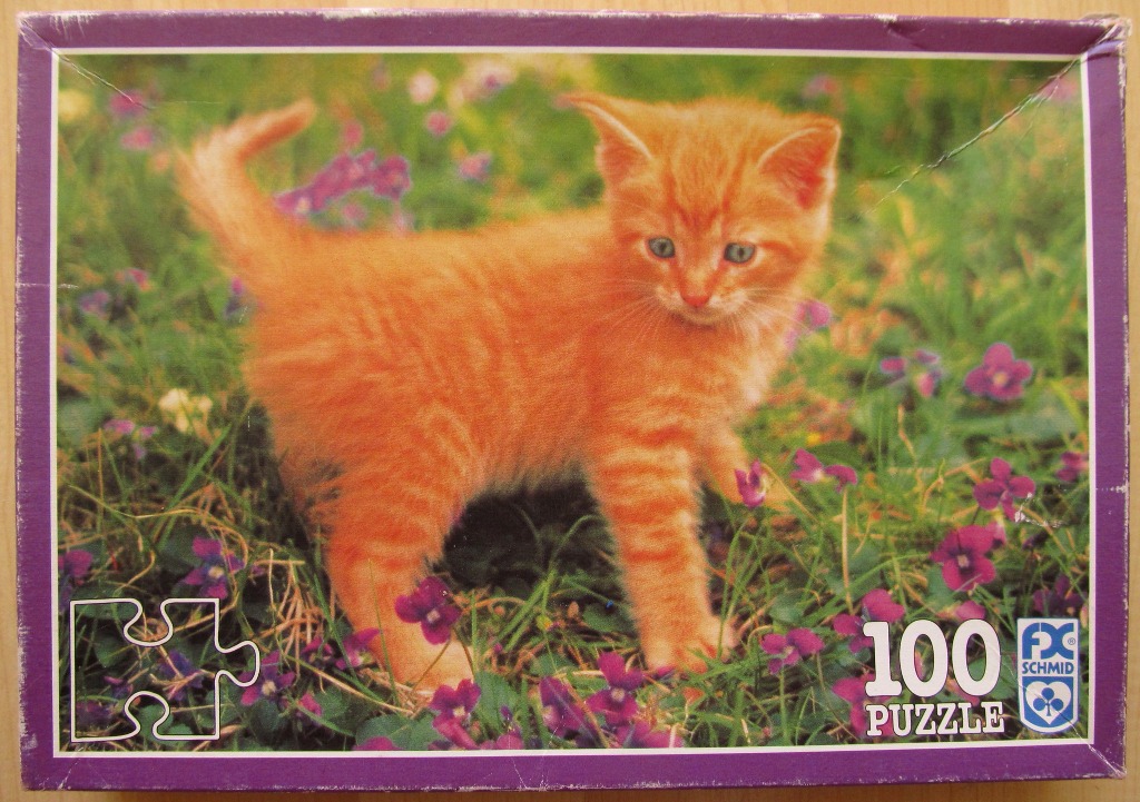 A small orange tabby kitten standing in a field of green grass and small purple flowers.
