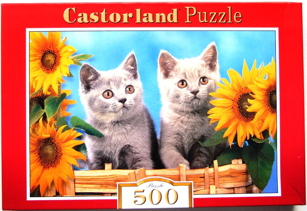 Two fluffy grey kittens sitting in a wicker basket amongst bright yellow sunflowers against a light blue background.