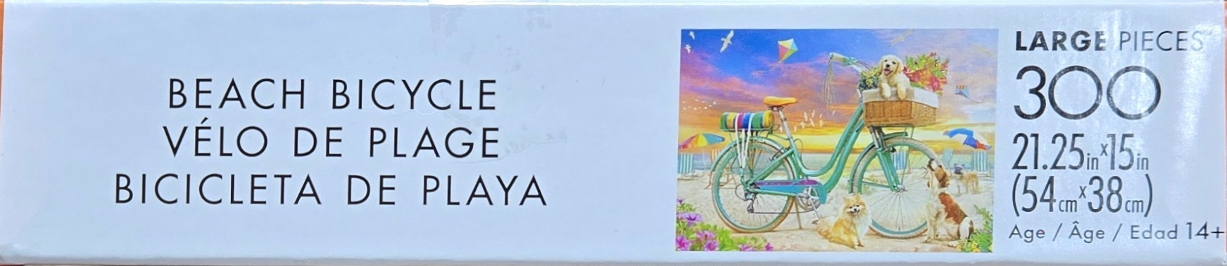 Beach Bicycle