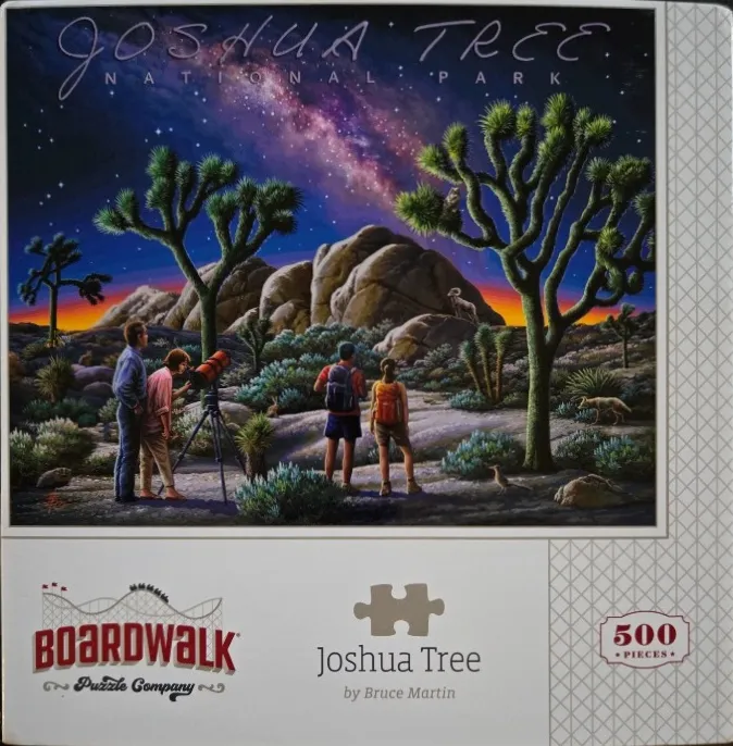 A nighttime illustration of stargazers in Joshua Tree National Park under a brilliant Milky Way.