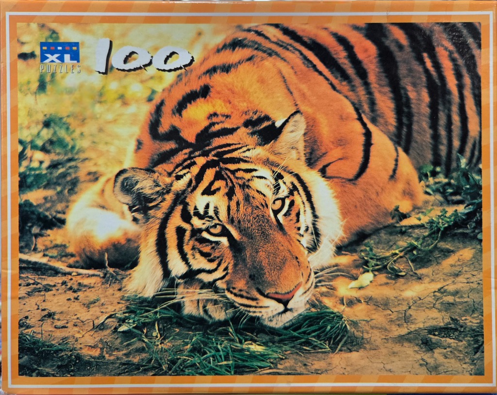 A close-up photograph of a tiger resting on the ground in a sunlit forest.