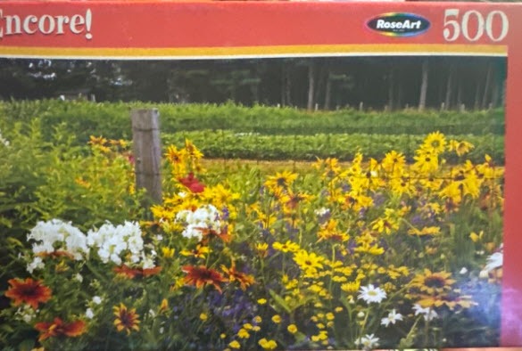 A field of vibrant wildflowers including yellow sunflowers and white blossoms against a backdrop of trees.