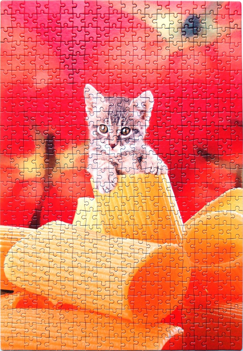 A small tabby kitten peeking out from a stack of large, golden rigatoni pasta against a vibrant red background.