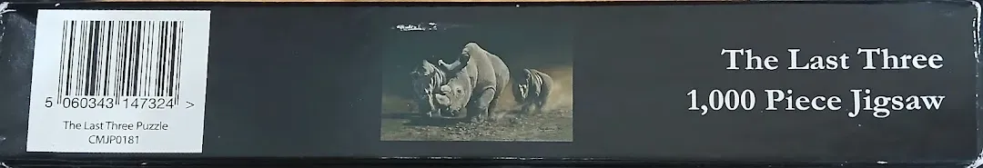 A realistic wildlife painting of three rhinoceroses walking across a dusty, shadowed landscape.