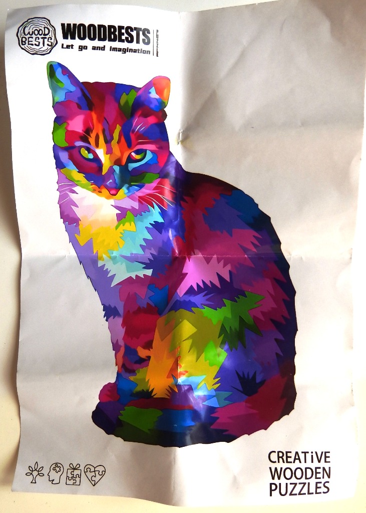 A vibrantly colored, artistic illustration of a cat rendered in geometric patches of bright, saturated colors.