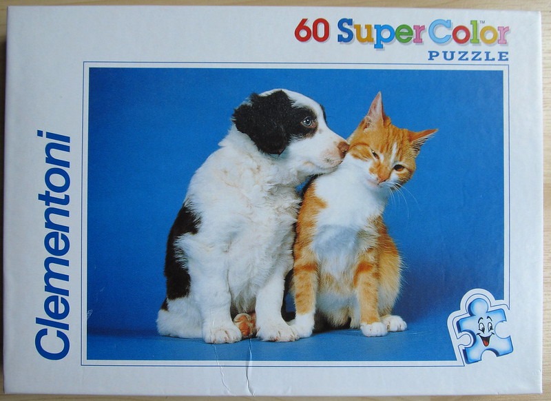 A puppy and a kitten cuddling against a vibrant blue studio background.