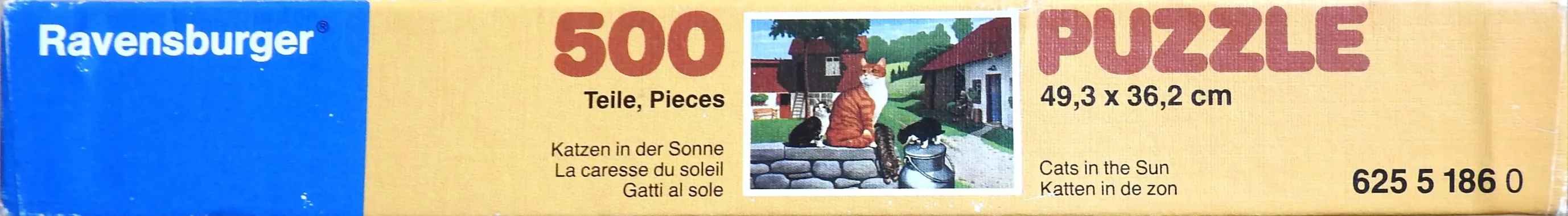 Cats in the Sun