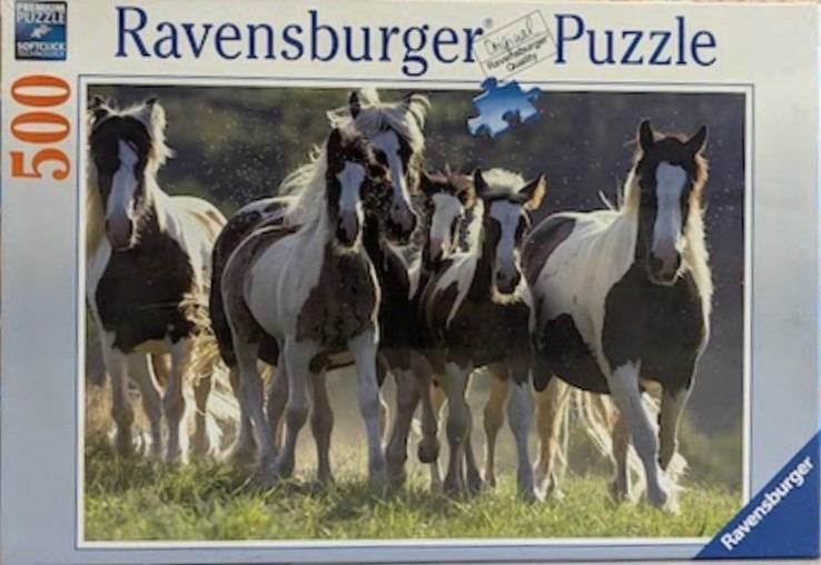 A herd of five brown and white piebald horses galloping across a grassy field.