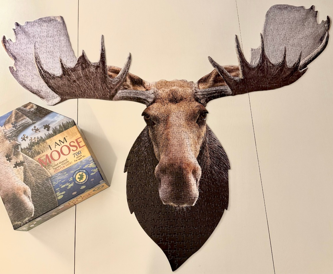 A die-cut portrait of a bull moose head with large, wide-spreading antlers against a plain background.