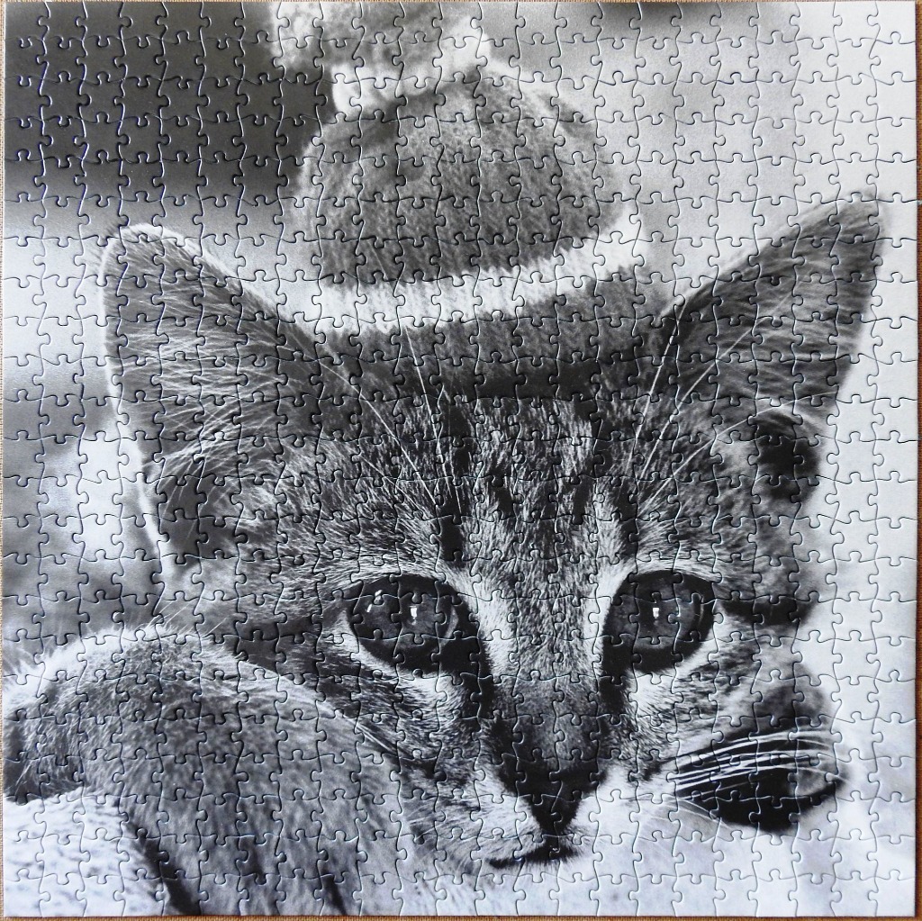 Black and white portrait of a tabby kitten wearing a small pom-pom hat.
