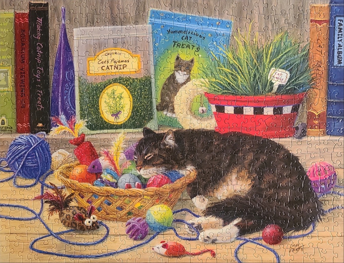 A cozy illustration of a sleeping cat surrounded by cat toys, treats, and books on a wooden floor.