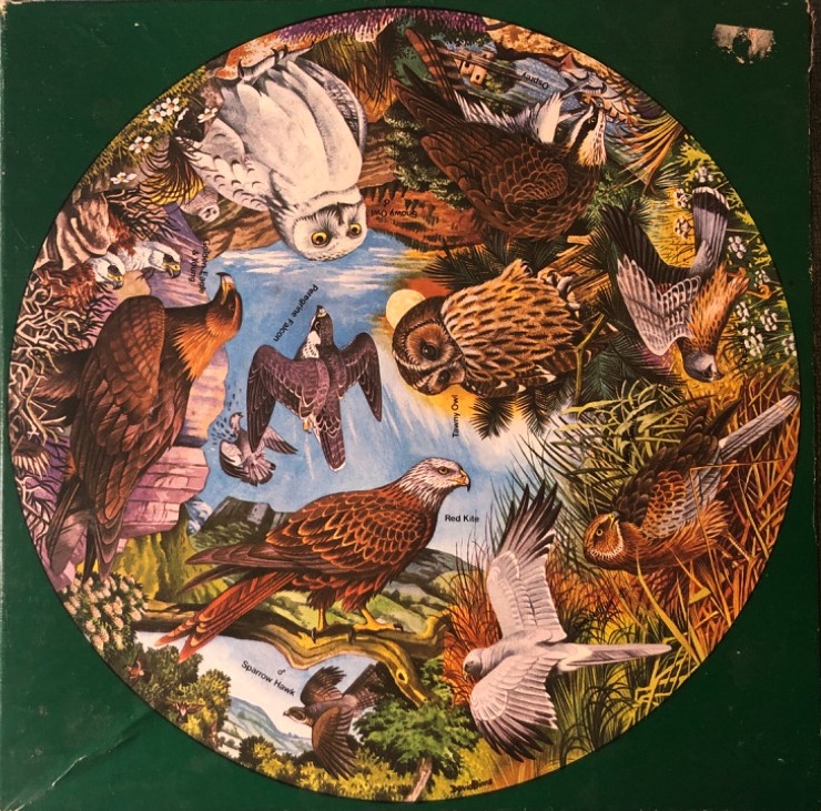 Circular illustration featuring eight different birds of prey against a sky and landscape background.