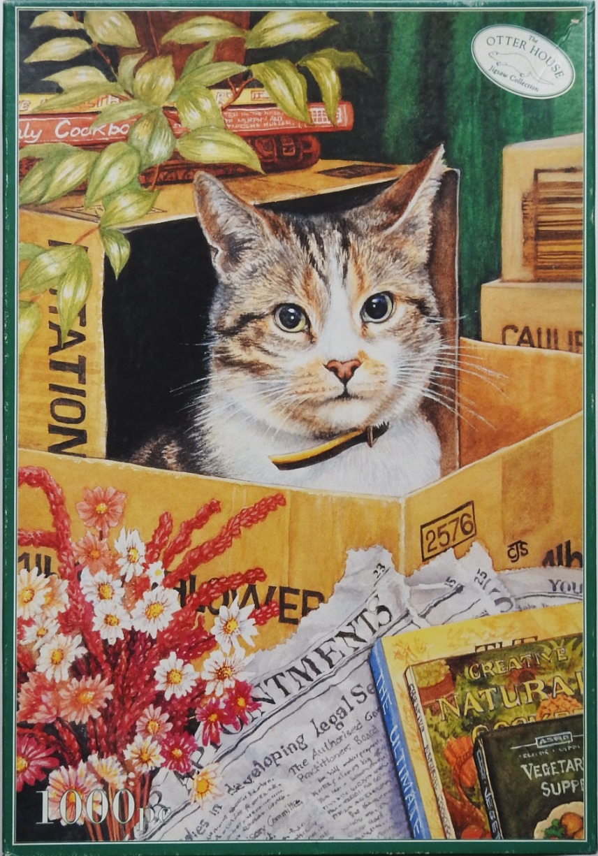 A detailed illustration of a calico cat sitting inside a cardboard box surrounded by flowers and books.