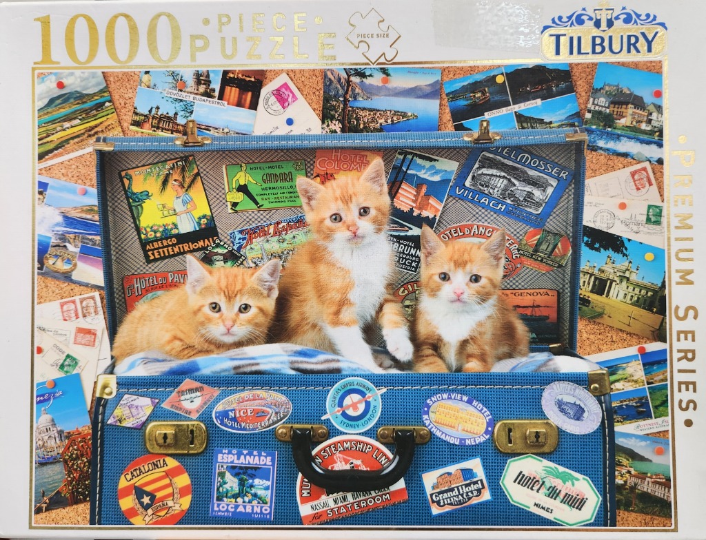 Three ginger kittens sitting inside a blue vintage suitcase plastered with travel stickers.