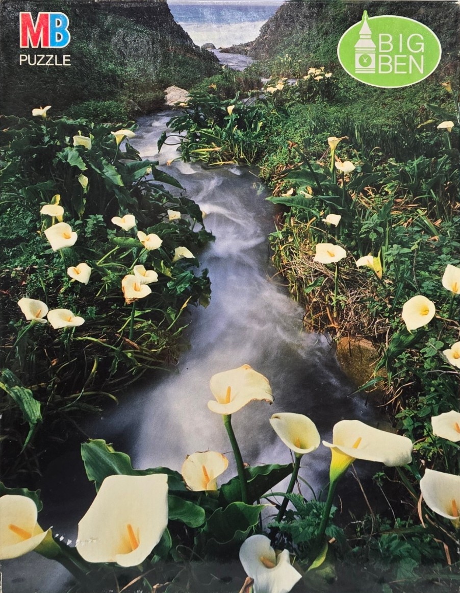 A stream flowing through a lush canyon filled with white calla lilies.