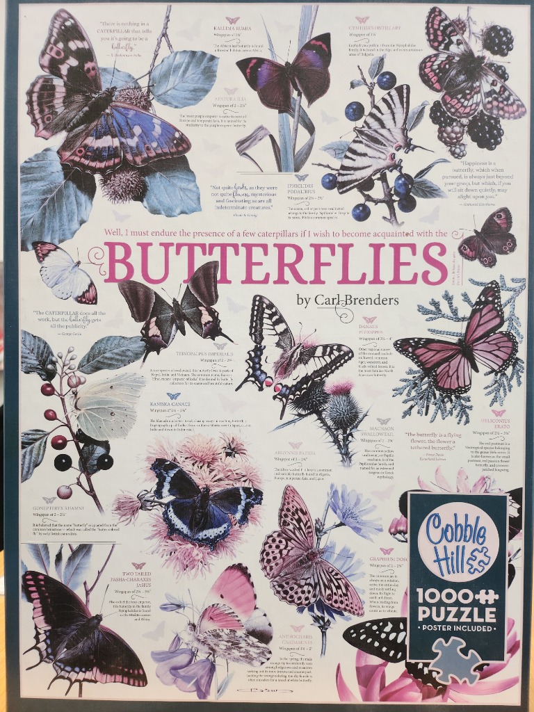 A botanical and entomological poster design featuring numerous detailed butterfly illustrations and descriptive text.