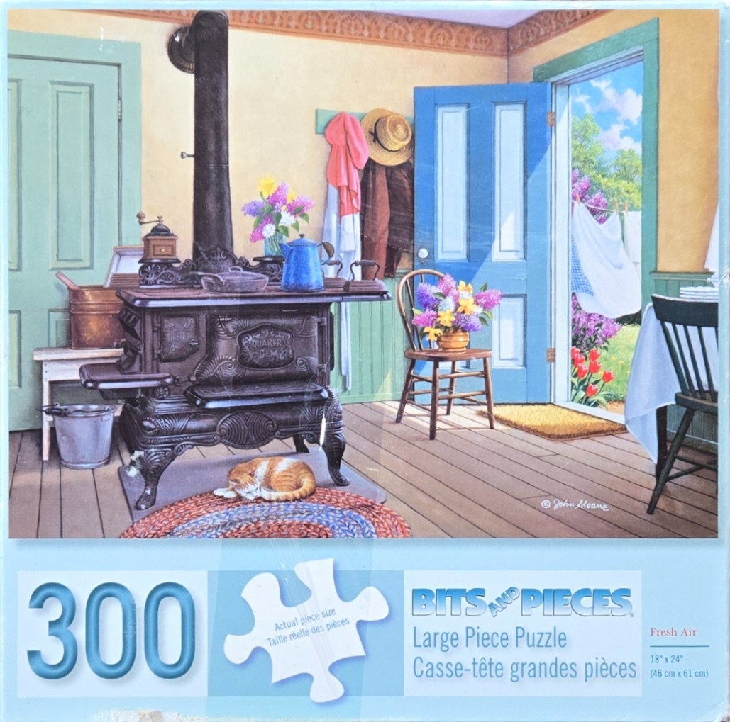 A cozy interior room scene with an old-fashioned wood stove, a sleeping cat, and an open door to a sunny garden.