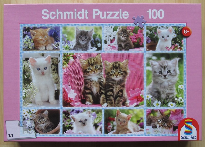 A collage of ten individual photographs featuring various kittens in gardens and floral settings.