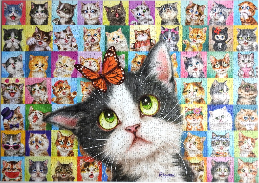 A collage of many different kitten portraits with a large central black and white kitten wearing a monarch butterfly.