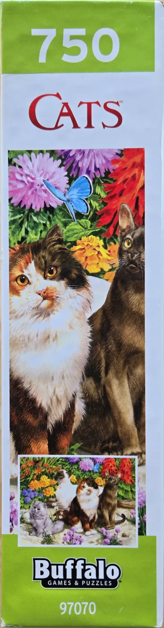 Cat Flora