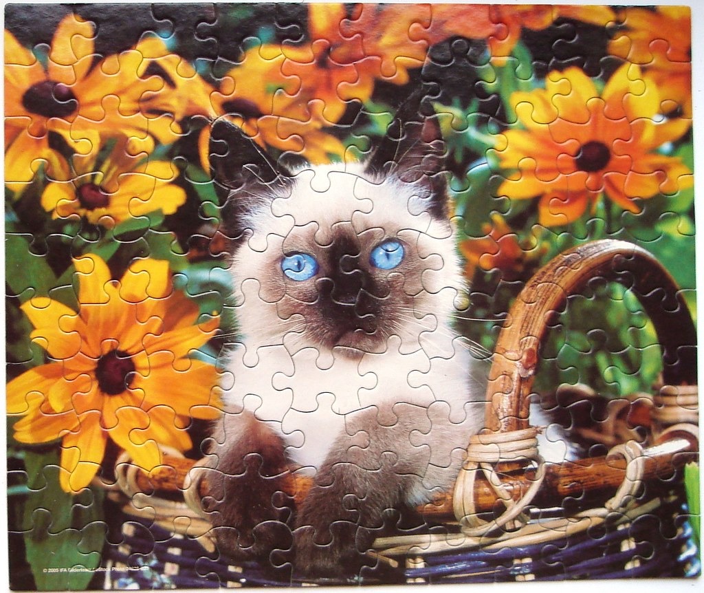 A Siamese kitten with bright blue eyes sits inside a woven basket surrounded by vibrant yellow coneflowers.