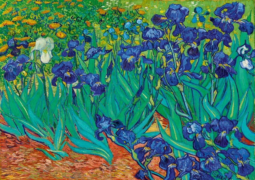 A lush garden scene filled with deep blue irises and vibrant green foliage over a textured orange-red earth ground.