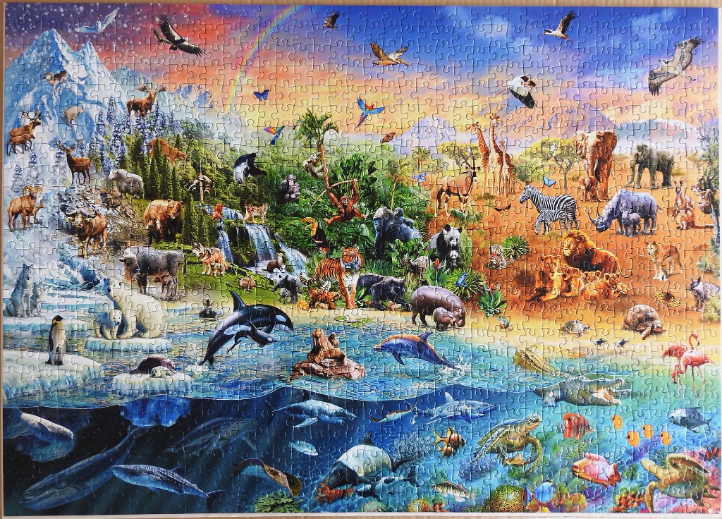 A panoramic illustration of global wildlife spanning arctic, jungle, savanna, and ocean habitats.