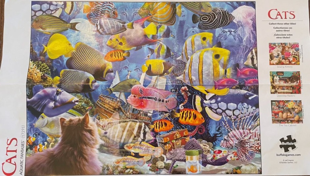 A long-haired cat gazing into a vibrant aquarium filled with colorful tropical fish and a sunken treasure chest.