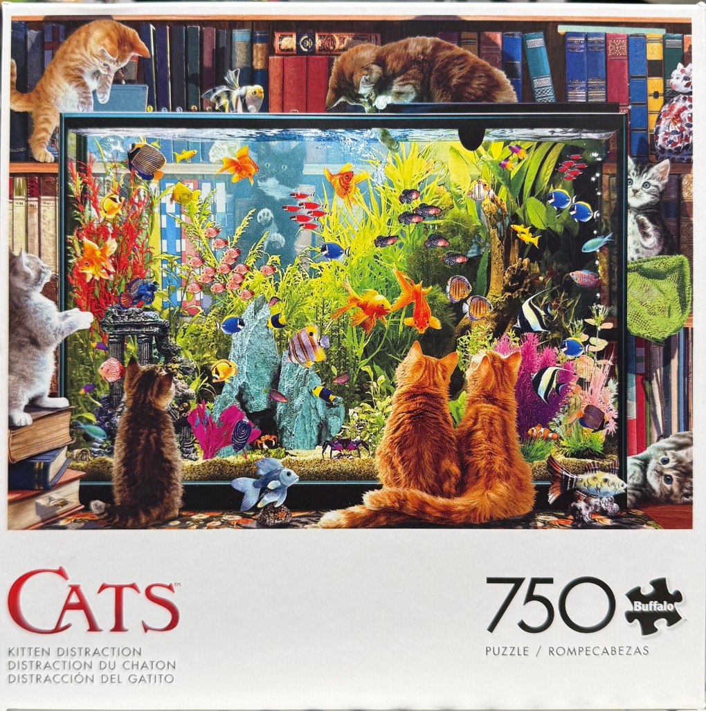 Several curious kittens observing a vibrant, crowded aquarium set against a backdrop of bookshelves.