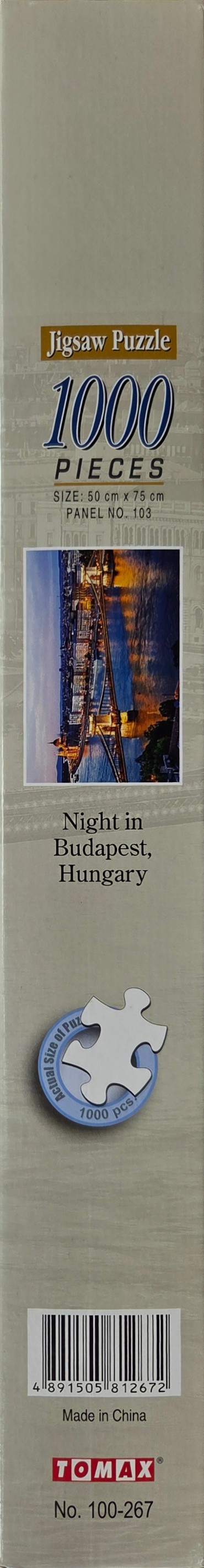 Night in Budapest, Hungary