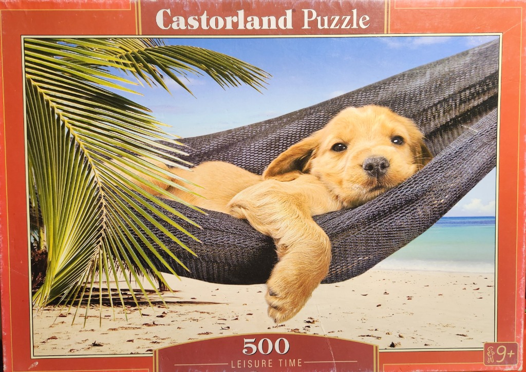 A golden puppy resting in a black hammock on a beach under palm fronds.