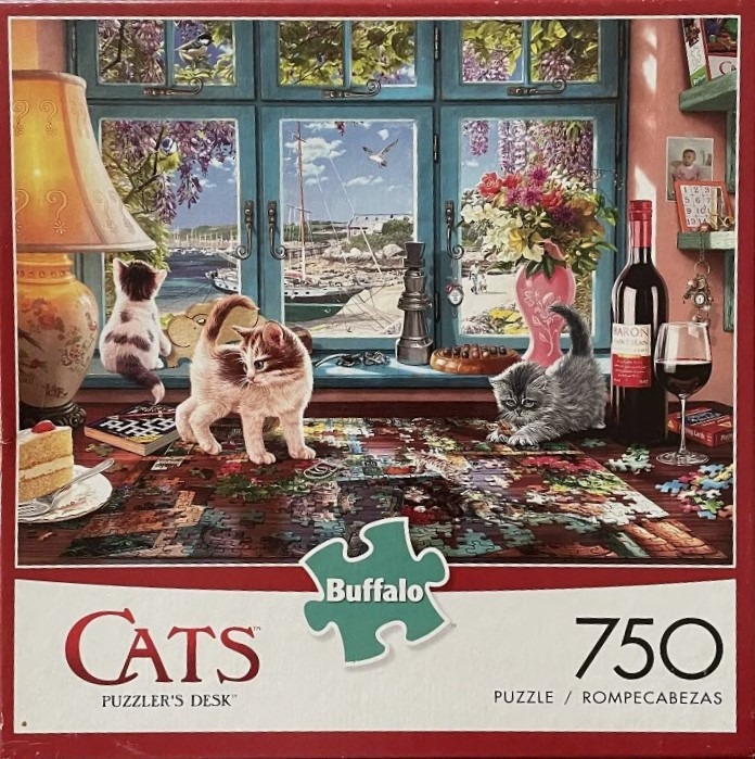 Three kittens playing on a desk with a harbor view through a large window