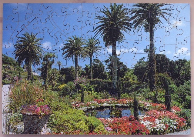 A lush, sunlit tropical garden with tall palm trees, a small circular pond, and vibrant flowering bushes.