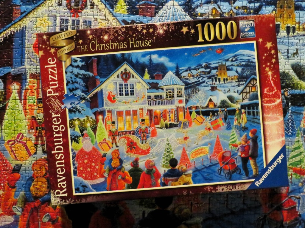 The Christmas House
