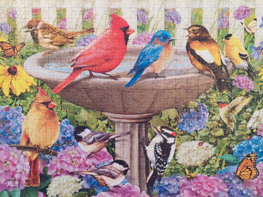 A collection of various North American songbirds and butterflies gathered around a stone birdbath in a vibrant garden.