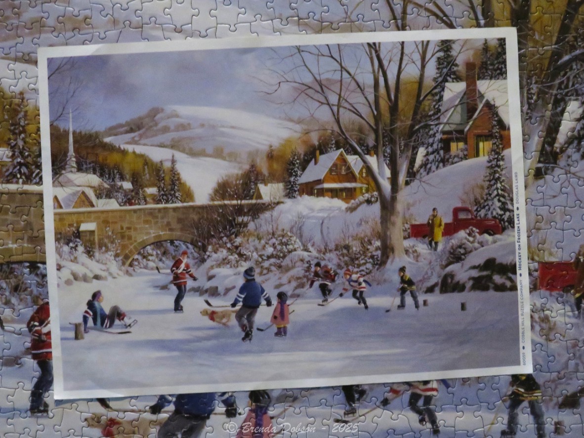 Children playing hockey on a frozen pond in a snowy village scene