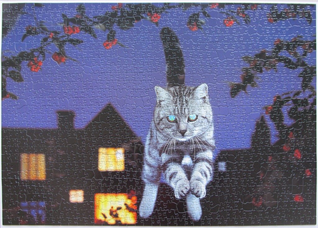 A grey tabby cat leaping in front of a house with glowing windows at night.
