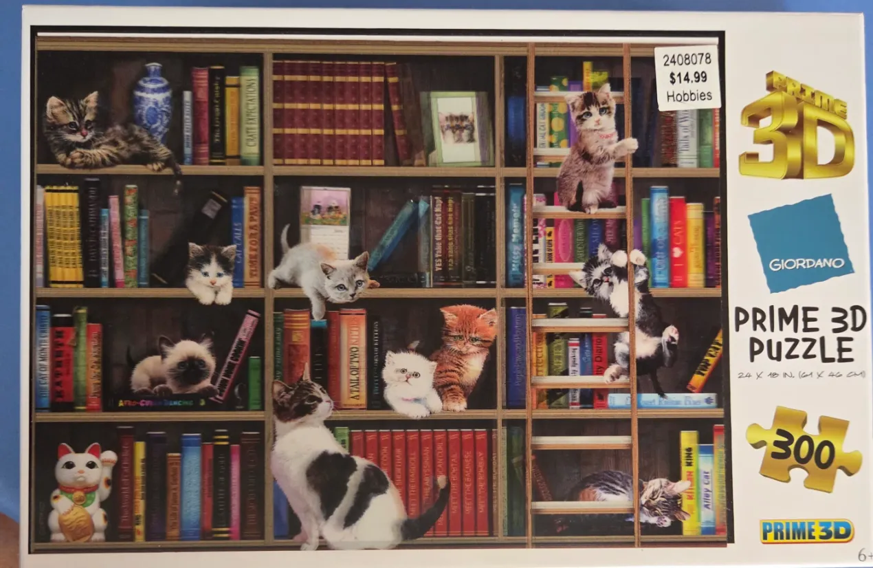 An illustration of many kittens playing on wooden bookshelves filled with books and a rolling ladder.