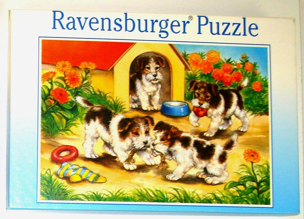 Four fox terrier puppies playing in front of a dog house in a sunny garden