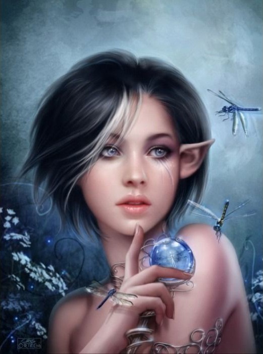 Portrait of an elven woman with short dark hair, blue eyes, and dragonflies, holding a glowing crystal orb.