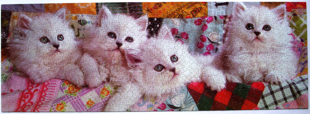 Four fluffy white kittens resting against a colorful, patchwork-patterned background.