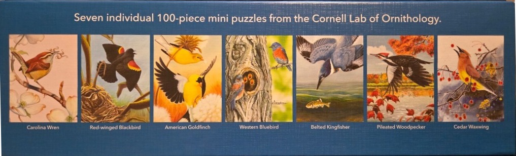 A collection of seven realistic bird illustrations featuring a wren, blackbird, goldfinch, bluebird, kingfisher, woodpecker, 