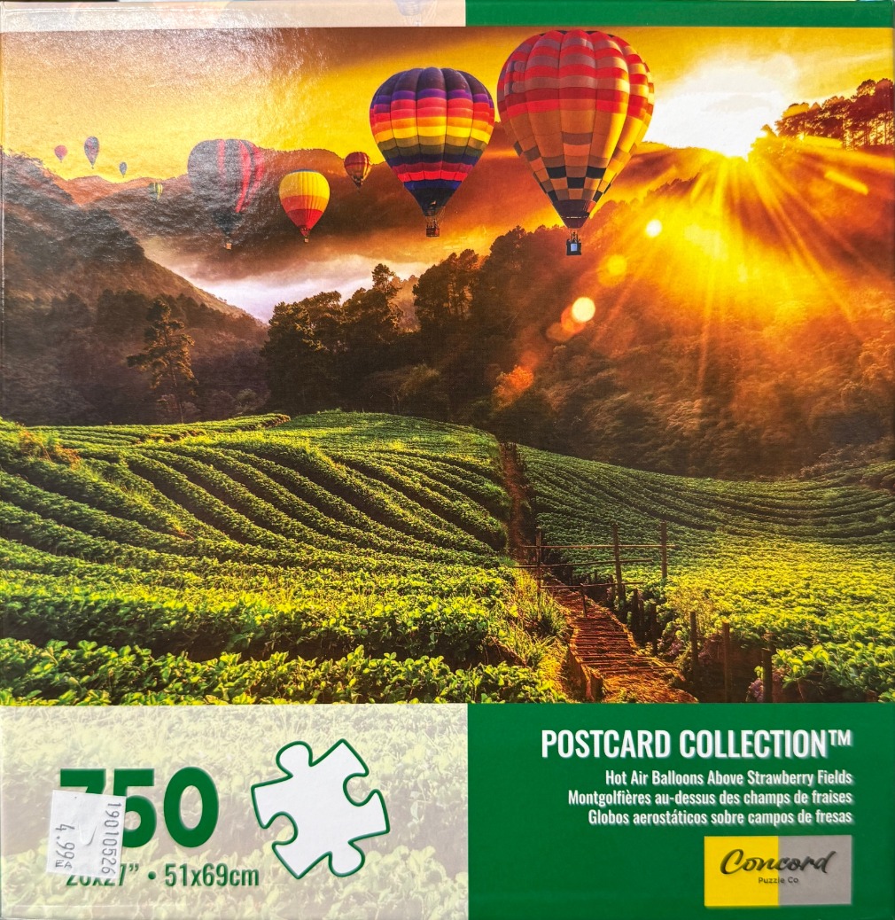 Colorful hot air balloons float over a lush green hillside field at sunrise.