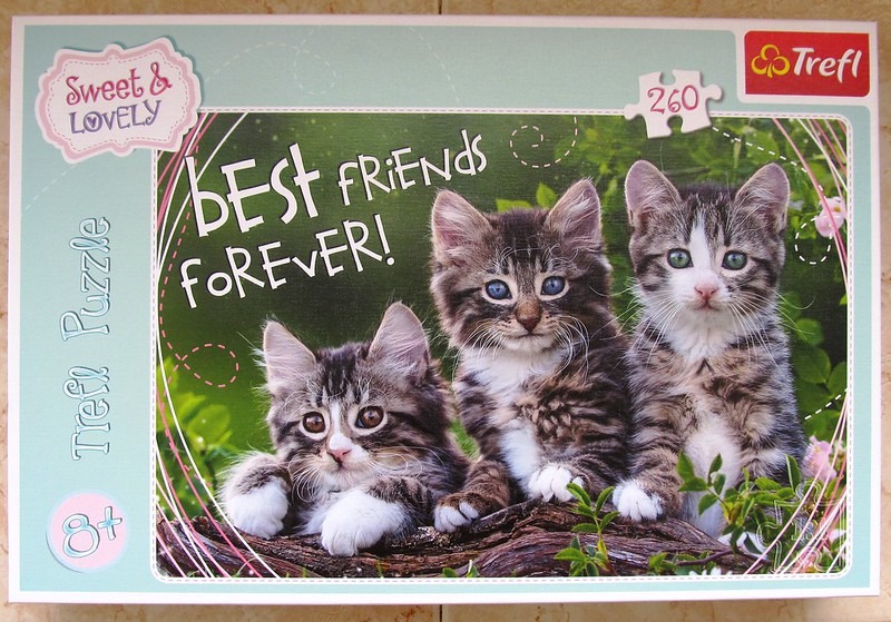 Three fluffy kittens with striped fur sitting together on a log in a garden.