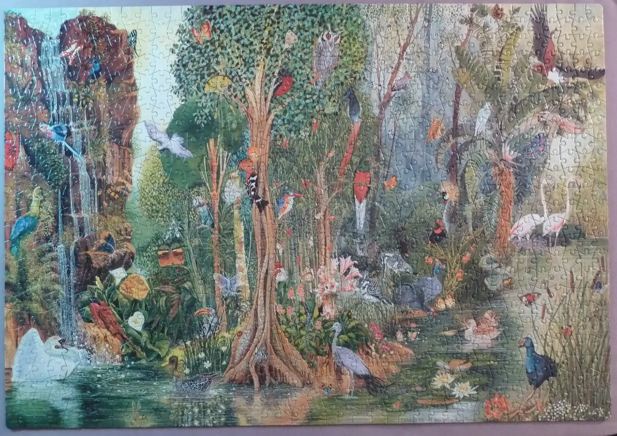 A lush, detailed illustration of a tropical forest teeming with diverse birds and flora near a waterfall.